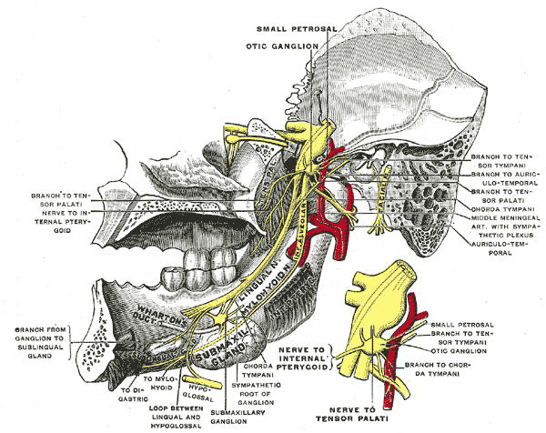 fisioterapia mandibola palermo